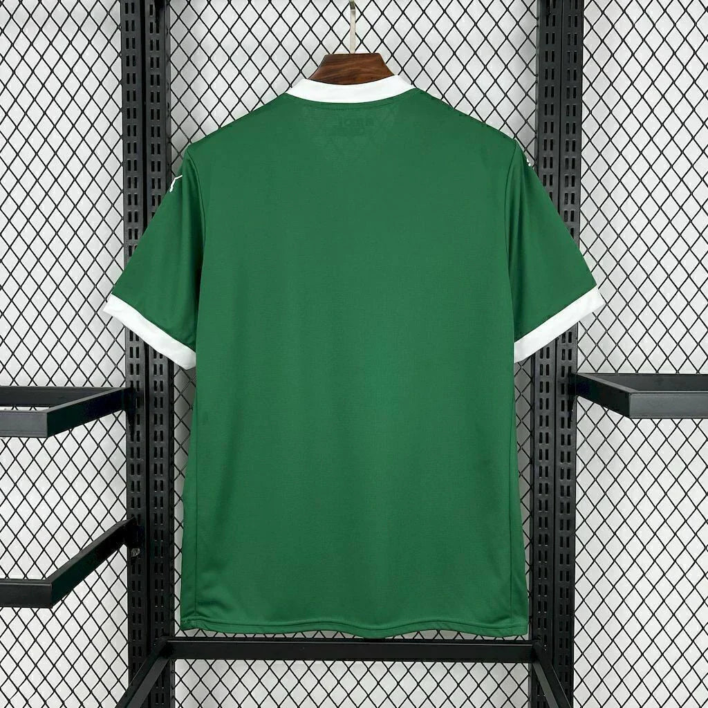 Camisa Palmeiras Home I 2025/26 Puma Torcedor Masculina - Verde