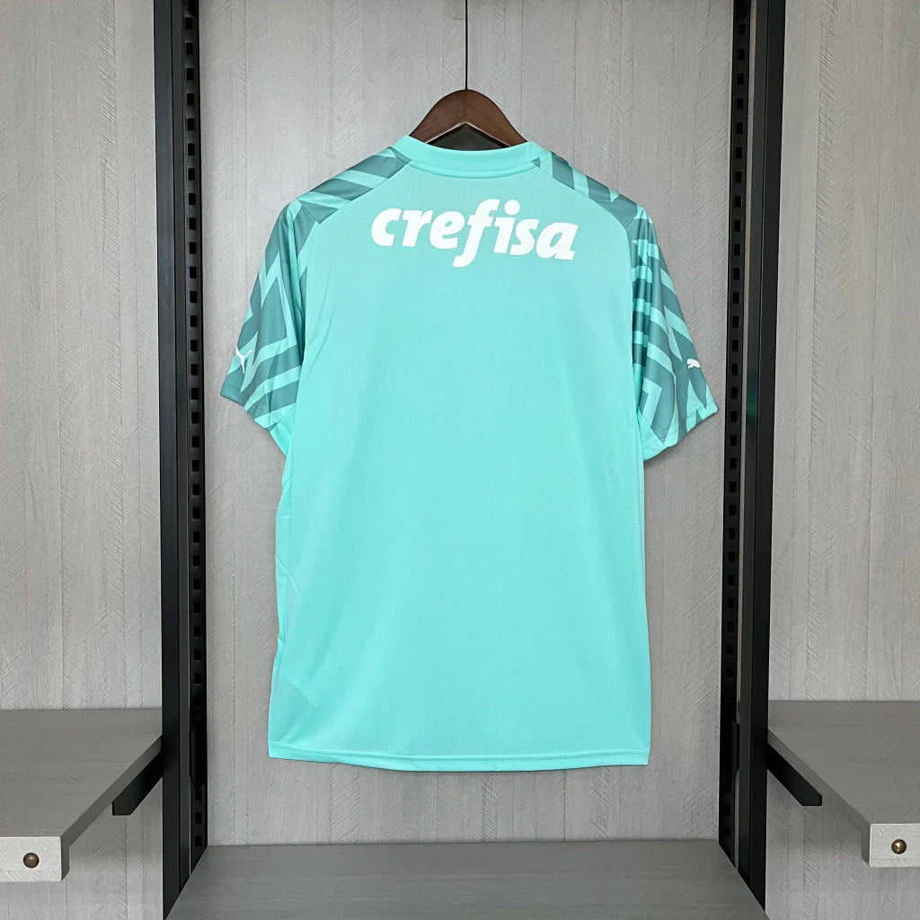 Camisa Palmeiras Goleiro Away II 2024/25 Puma Torcedor Masculina