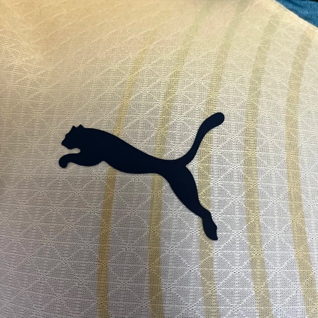 Camisa Manchester City 2024/25 Puma Jogador Masculina