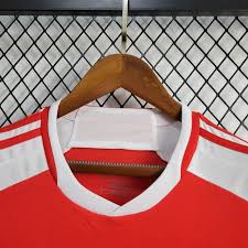 Camisa Internacional Home I 2024/25 Adidas Adidas Masculina